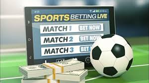 Discover the World of Wagering with Bet Genuine